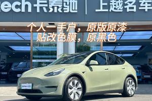 Model Y 特斯拉 后轮驱动版