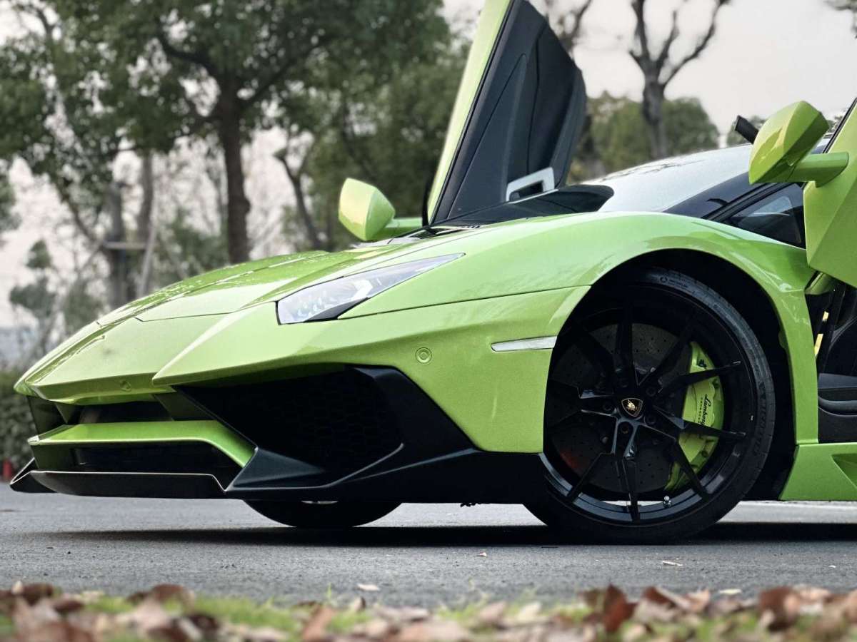 蘭博基尼 aventador 2013款 lp 700-4 roadster圖片