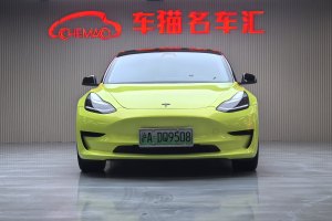 Model 3 特斯拉 标准续航后驱升级版