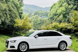 奥迪A4L 奥迪 30周年年型 40 TFSI 进取型