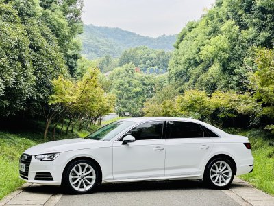 2018年4月 奥迪 奥迪A4L 30周年年型 40 TFSI 进取型图片