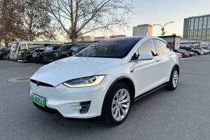 Model X 特斯拉 Model X 100D 长续航版