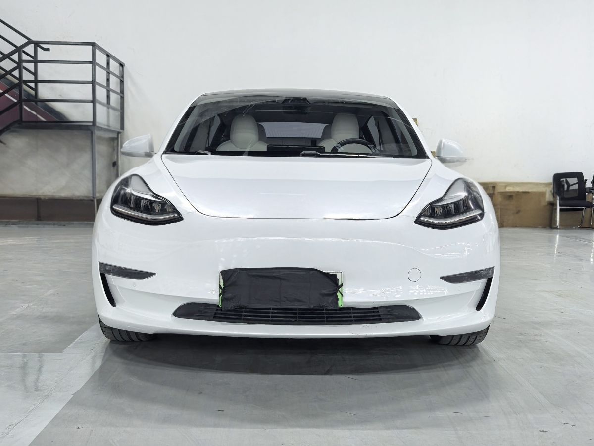 特斯拉 Model 3  2019款 長續(xù)航后驅(qū)版圖片