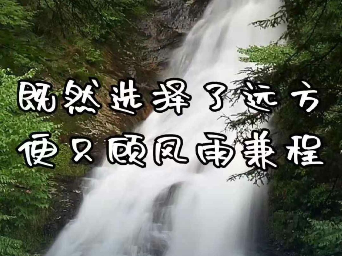 金龍 金威  2021款 1.8L捷運廂貨平頂LJ4A18Q6圖片