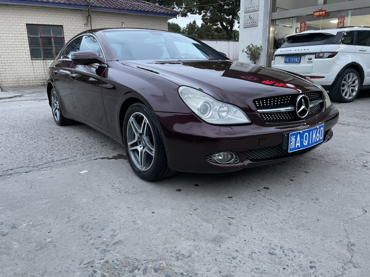 奔馳 奔馳CLS級(jí)  2009款 CLS 300圖片