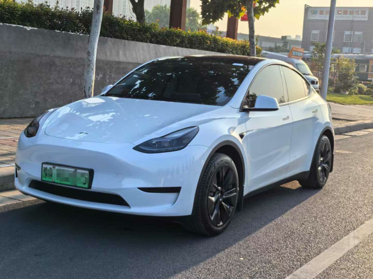 特斯拉 Model S  2023款 三電機(jī)全輪驅(qū)動(dòng) Plaid版圖片