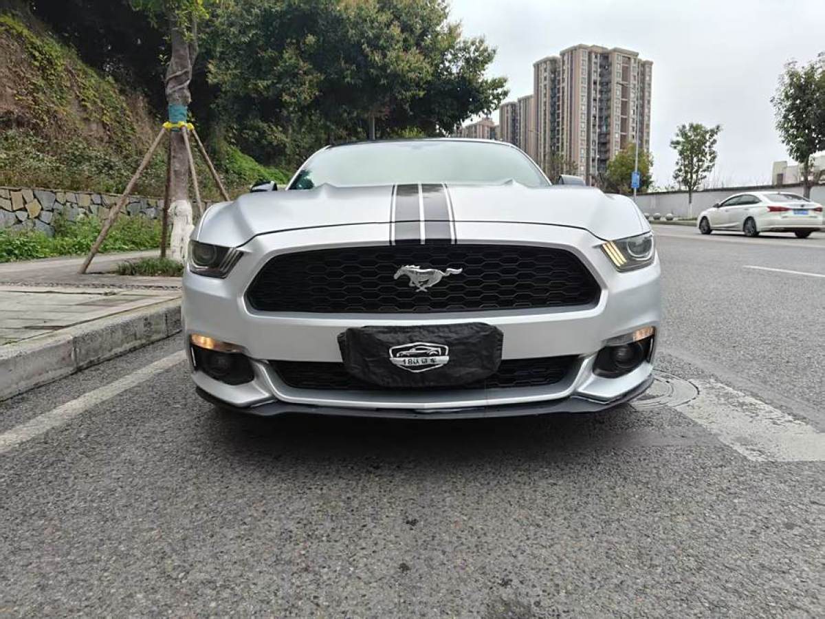 福特 Mustang  2015款 2.3T 性能版圖片