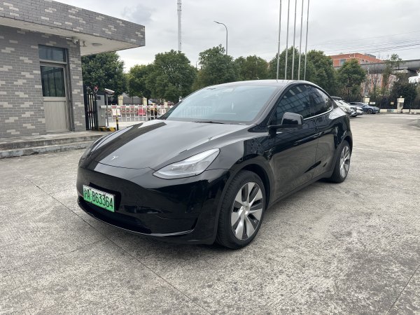 特斯拉 Model Y  2020款 改款 长续航后轮驱动版