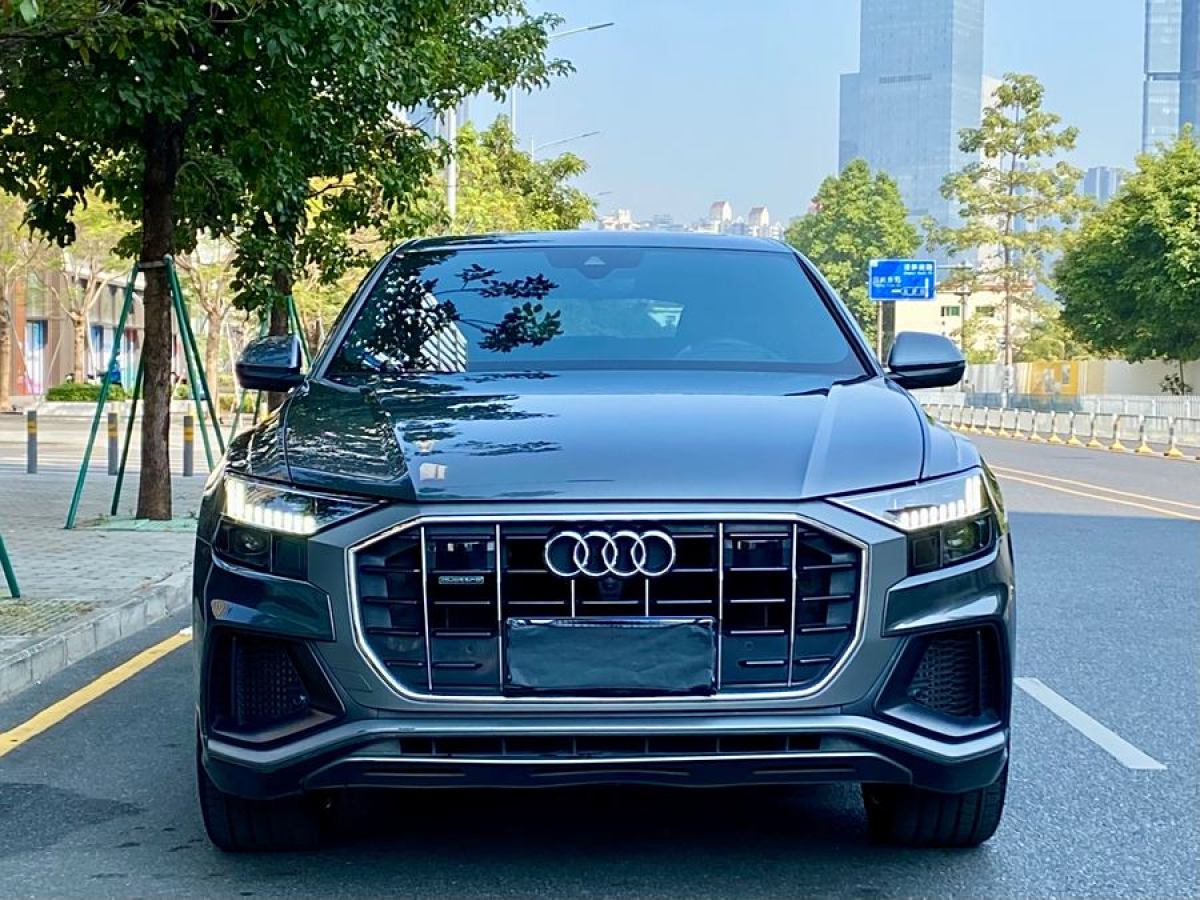 奧迪 奧迪Q8  2019款 55 TFSI 至尊限量版圖片