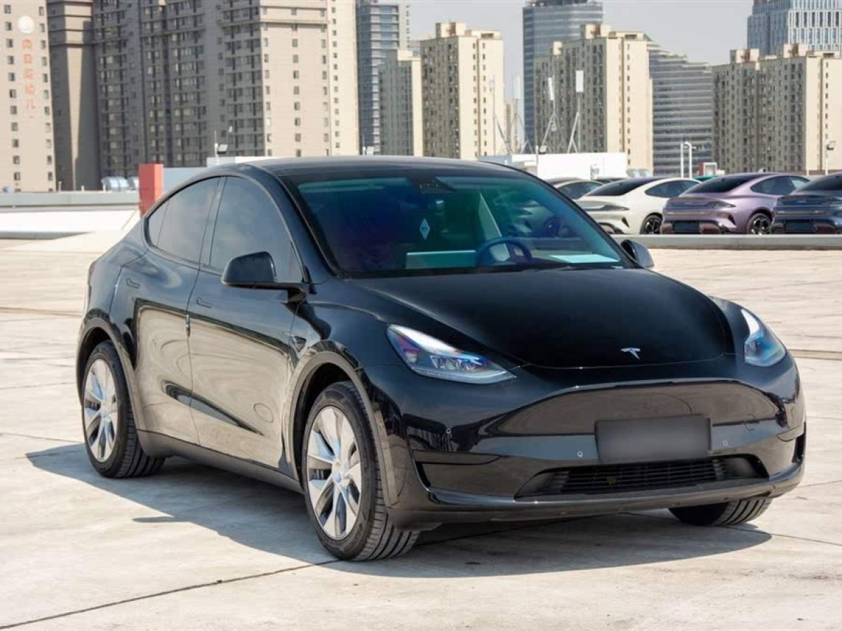 特斯拉 Model Y  2022款 改款 后輪驅(qū)動版圖片