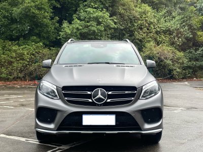 2019年4月 奔馳 奔馳GLE AMG AMG GLE 43 4MATIC圖片