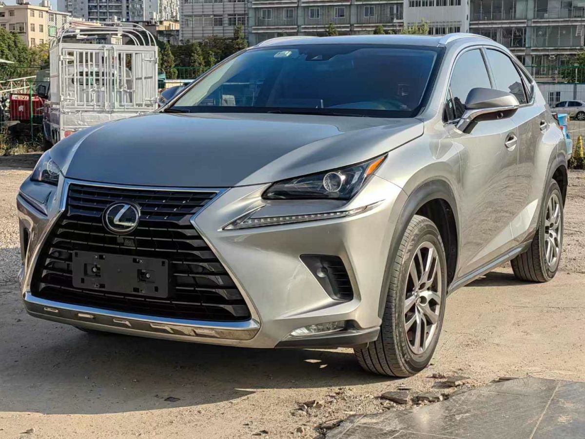 雷克薩斯 NX  2019款 300h 百萬(wàn)紀(jì)念限量版 國(guó)VI圖片