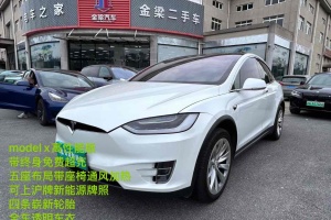 Model X 特斯拉 Performance 高性能版