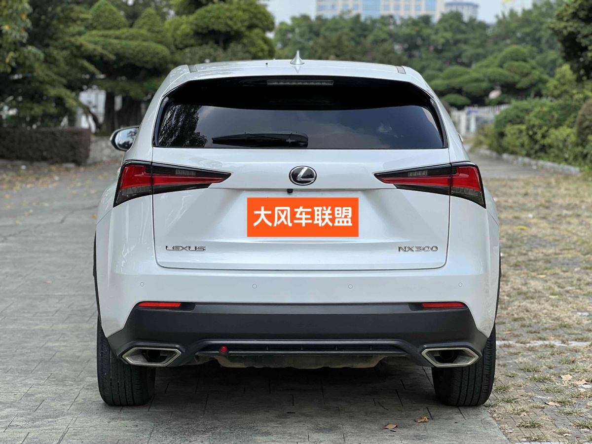 雷克薩斯 NX  2020款 300 前驅 鋒行版 國V圖片