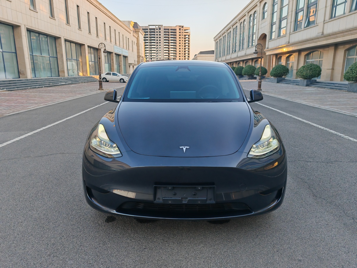 2024年6月特斯拉 Model 3  2020款 改款 長續(xù)航后輪驅(qū)動版