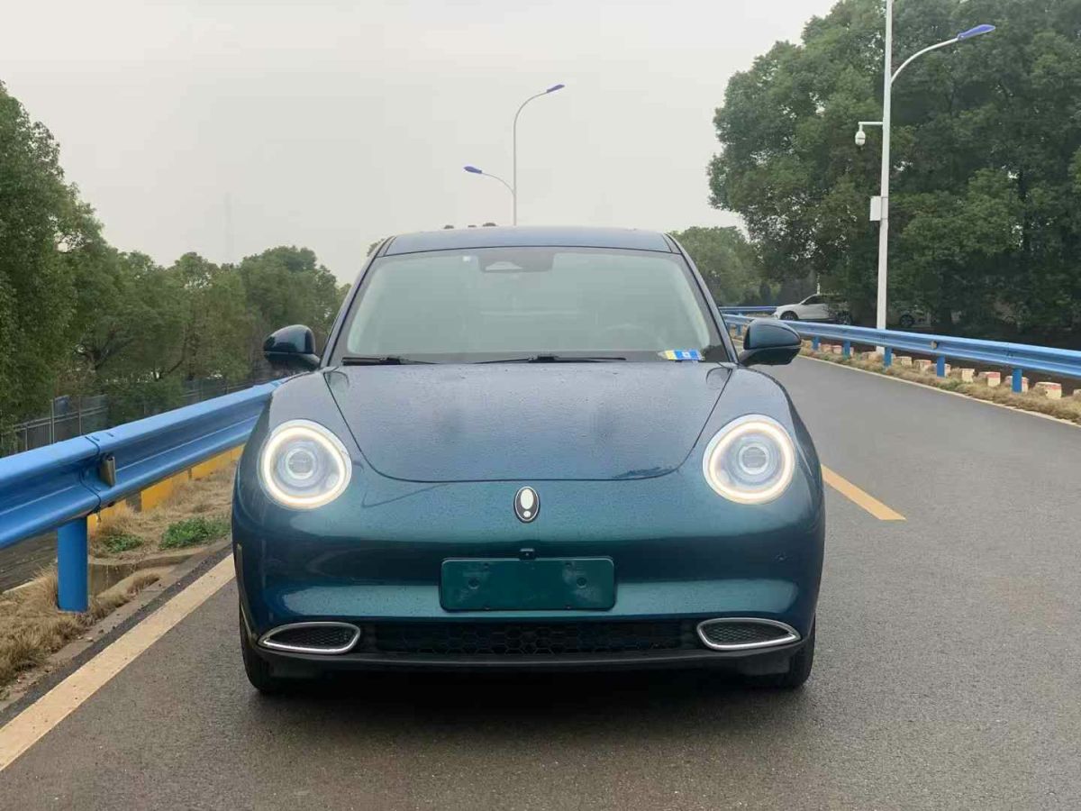 歐拉 歐拉好貓  2021款 400km標準續(xù)航 公務(wù)版 三元鋰圖片