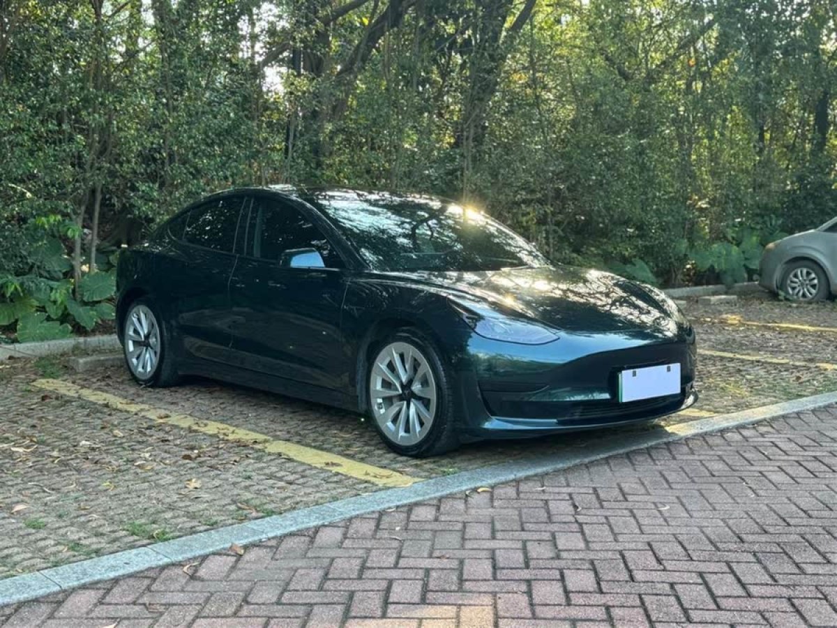 特斯拉 Model 3  2022款 后輪驅(qū)動(dòng)版圖片