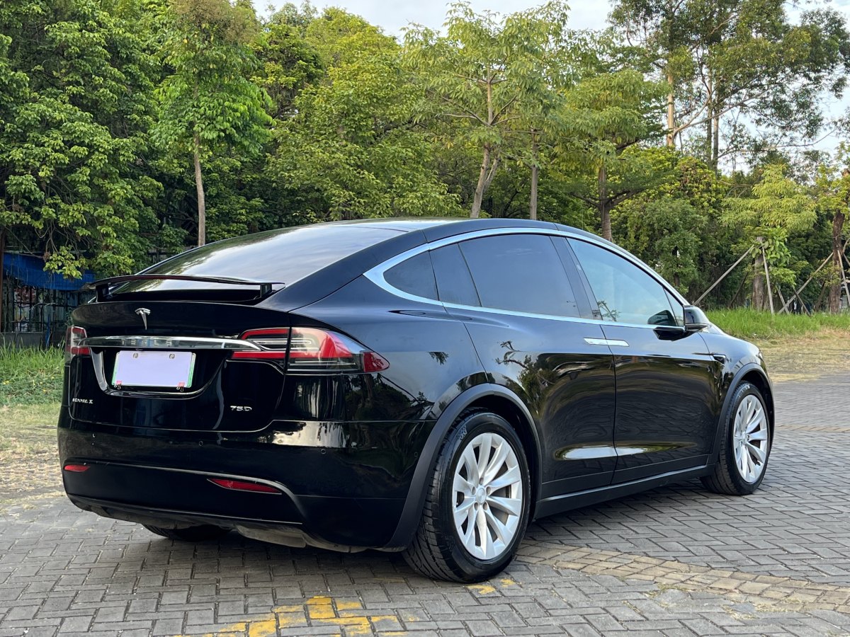 特斯拉 Model X  2016款 Model X 75D圖片