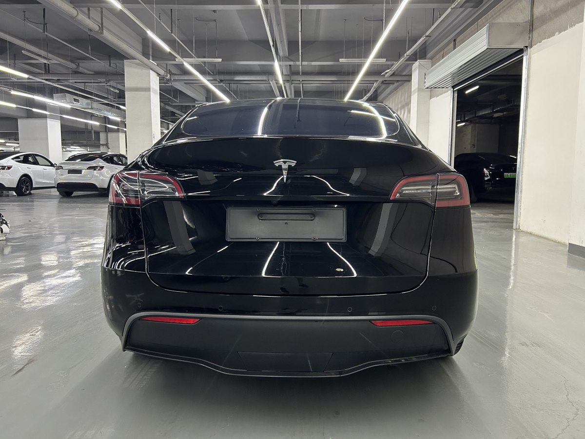 特斯拉 Model Y  2021款 改款 標準續(xù)航后驅升級版圖片