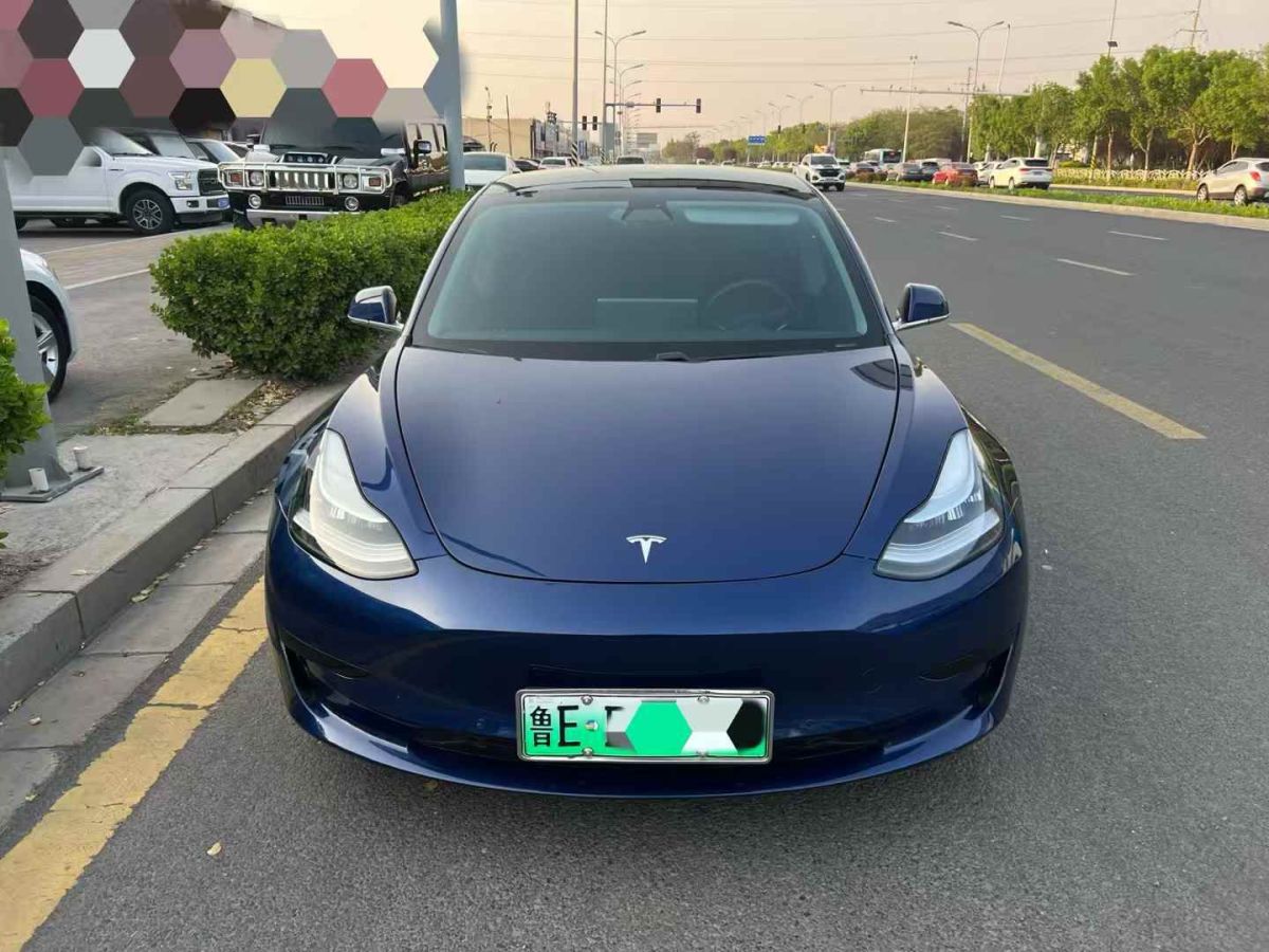 特斯拉 Model X  2020款 Performance 高性能版圖片