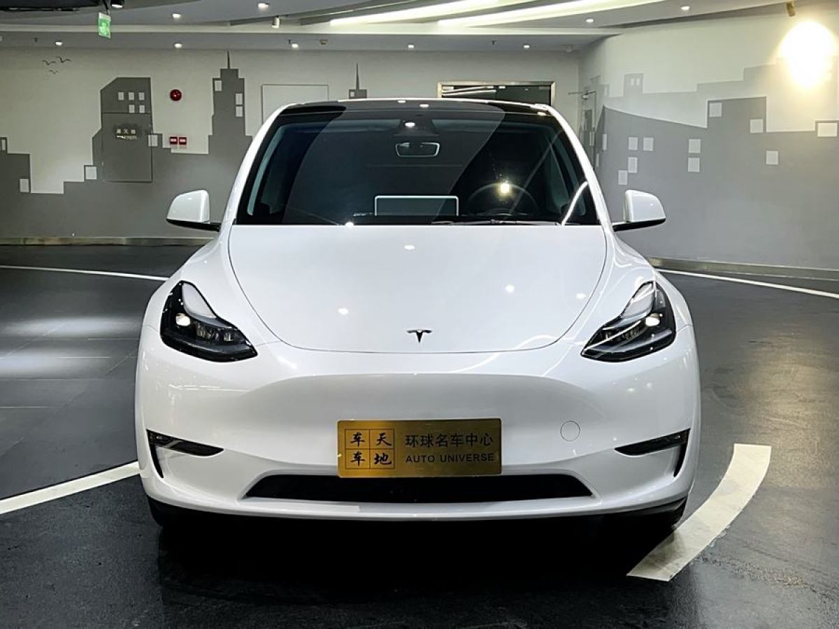 2024年8月特斯拉 Model Y  2024款 長續(xù)航全輪驅(qū)動版