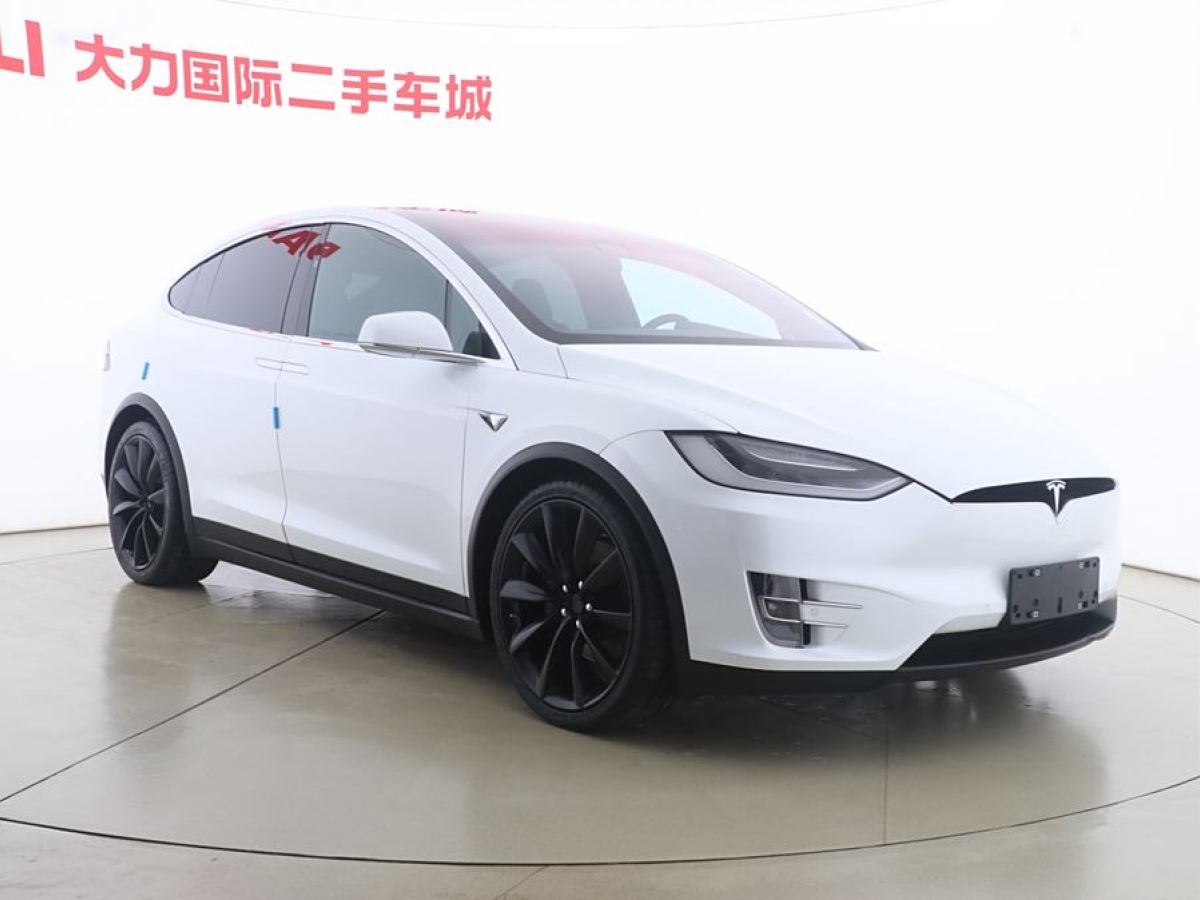 特斯拉 Model X  2017款 Model X 100D 長(zhǎng)續(xù)航版圖片