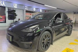 Model Y 特斯拉 改款 長續(xù)航全輪驅(qū)動版