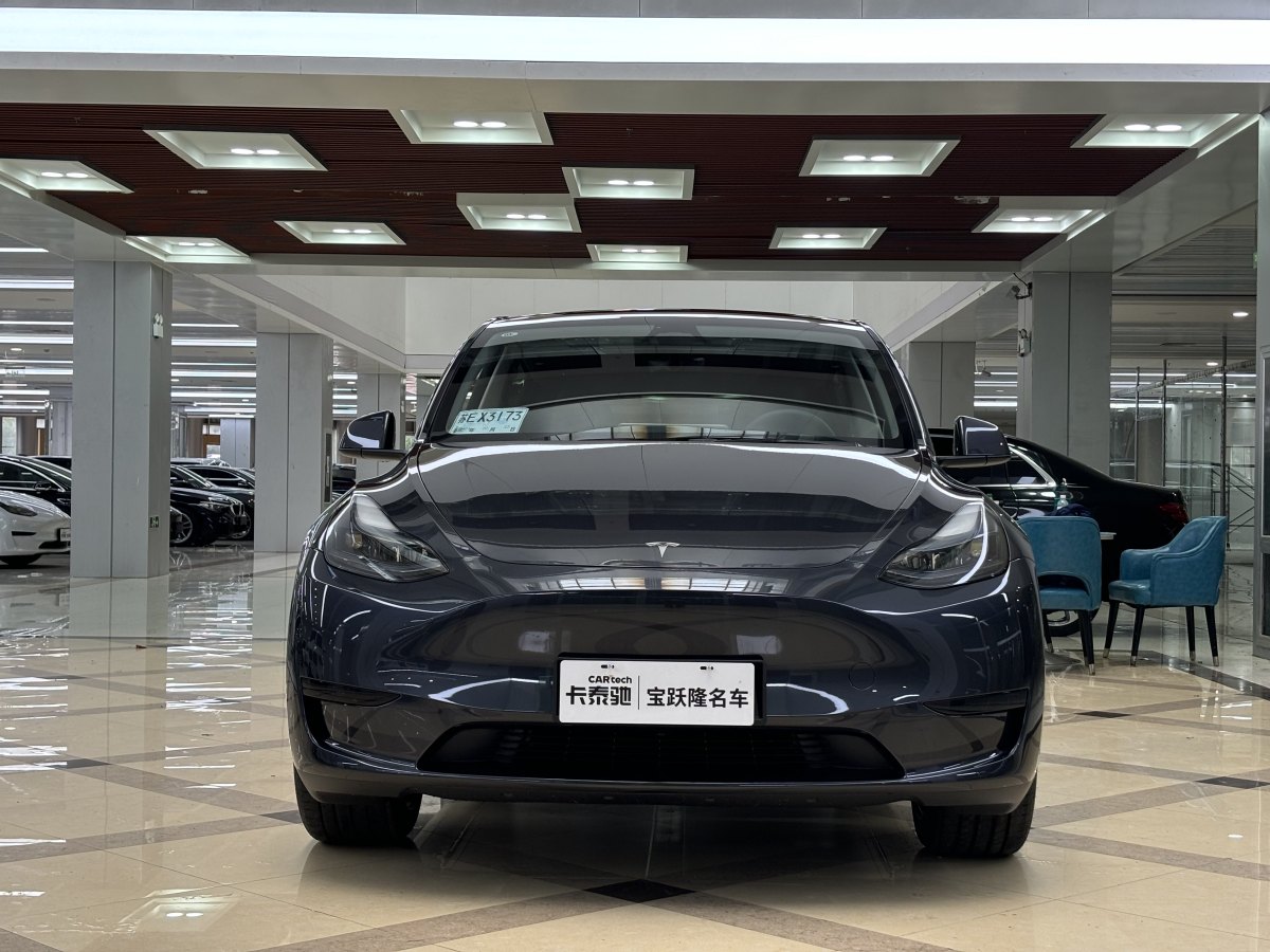 特斯拉 Model Y  2020款 改款 長續(xù)航后輪驅(qū)動版圖片