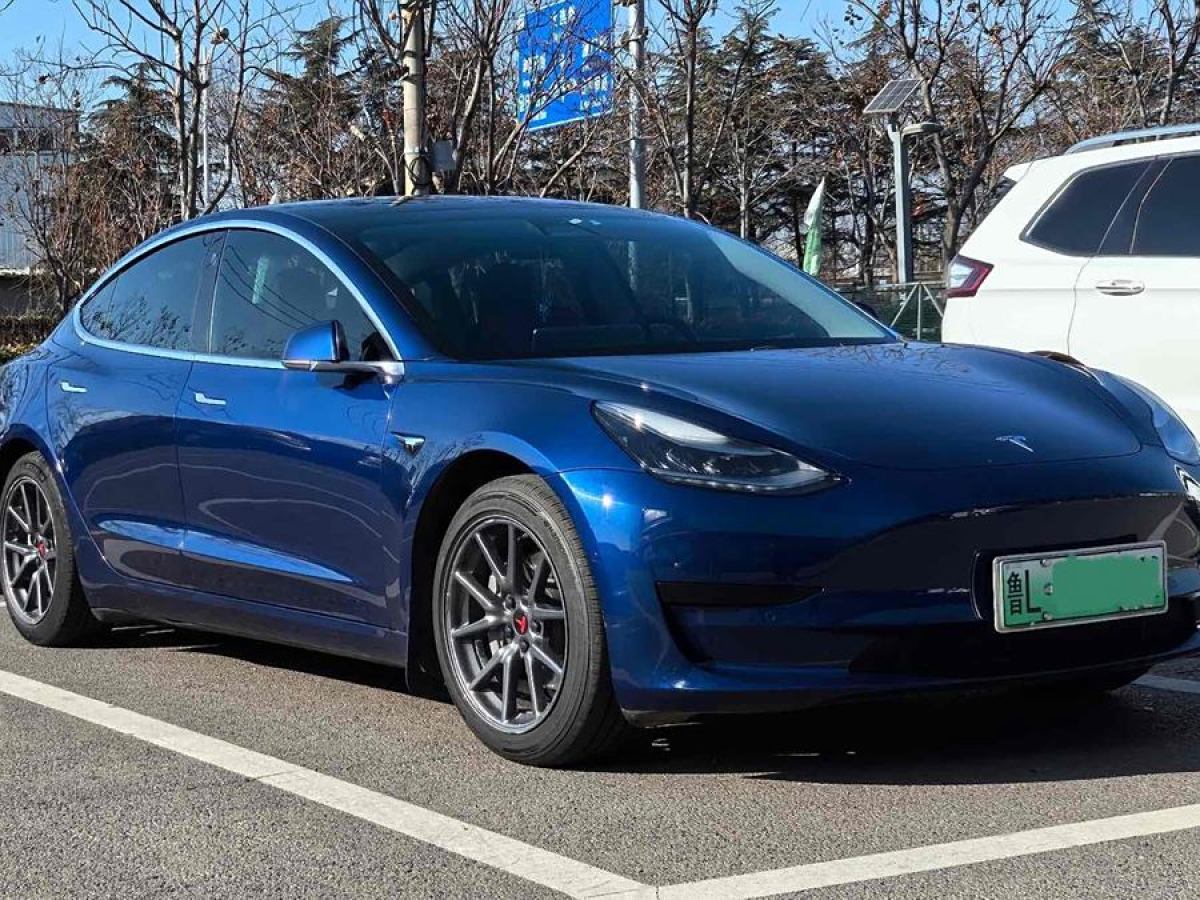 特斯拉 Model 3  2020款 改款 標(biāo)準(zhǔn)續(xù)航后驅(qū)升級(jí)版圖片