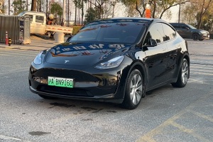 Model Y 特斯拉 后驅(qū)版