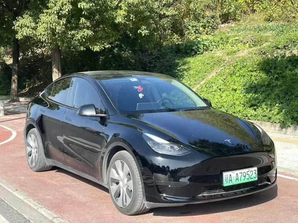 特斯拉 Model 3  2022款 Performance高性能全輪驅(qū)動(dòng)版圖片