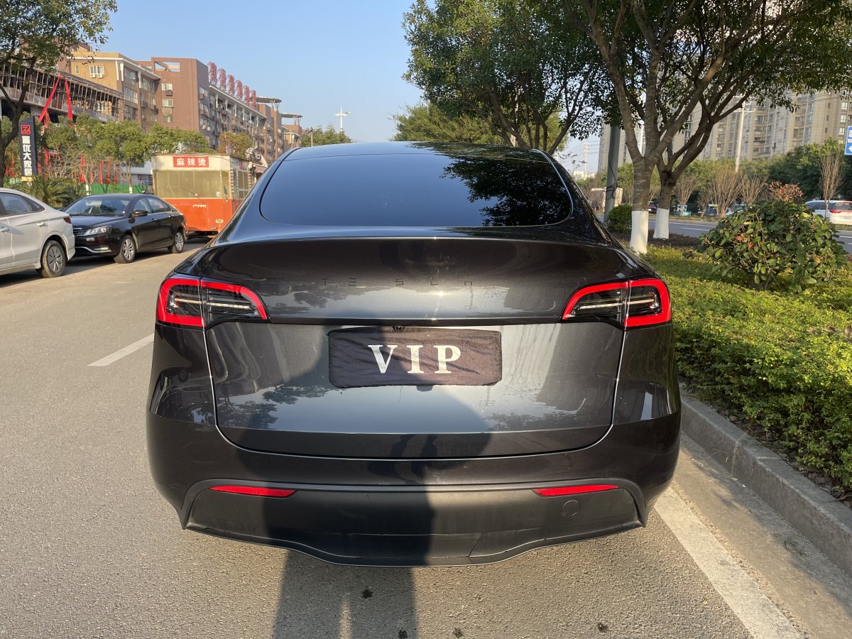 特斯拉 Model 3  2020款 改款 長(zhǎng)續(xù)航后輪驅(qū)動(dòng)版圖片