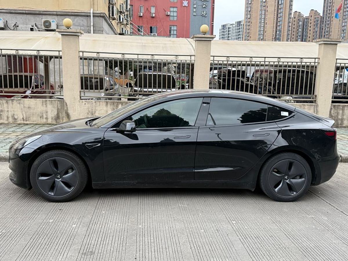 特斯拉 Model 3  2020款 改款 標(biāo)準(zhǔn)續(xù)航后驅(qū)升級(jí)版圖片