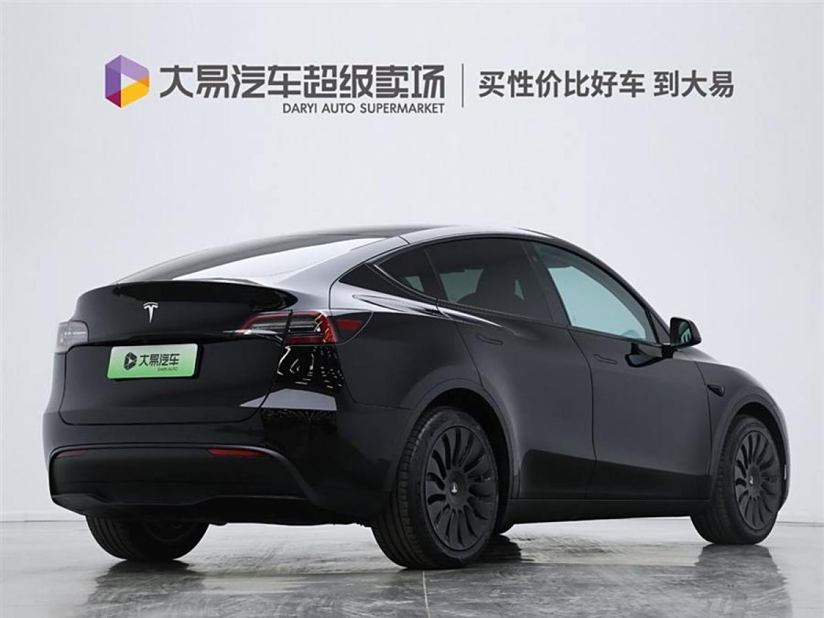 特斯拉 Model Y  2021款 改款 長(zhǎng)續(xù)航全輪驅(qū)動(dòng)版圖片