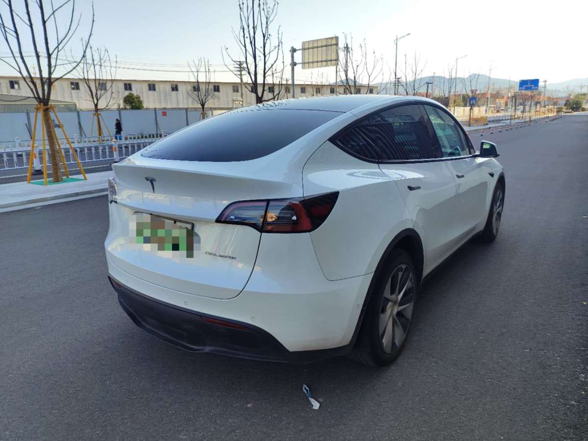 特斯拉 Model Y  2021款 長續(xù)航全輪驅(qū)動(dòng)版圖片