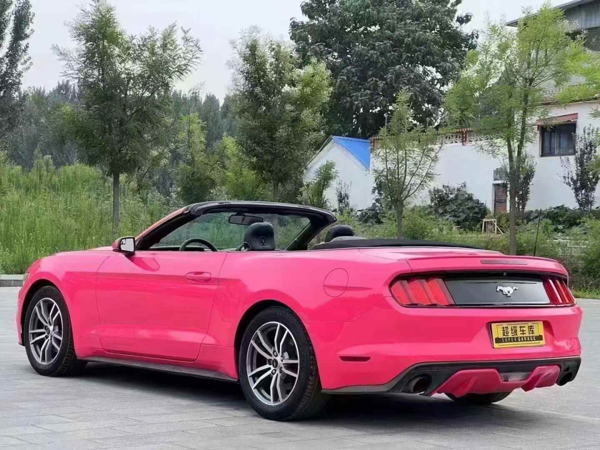 福特 Mustang  2016款 2.3T 性能版圖片