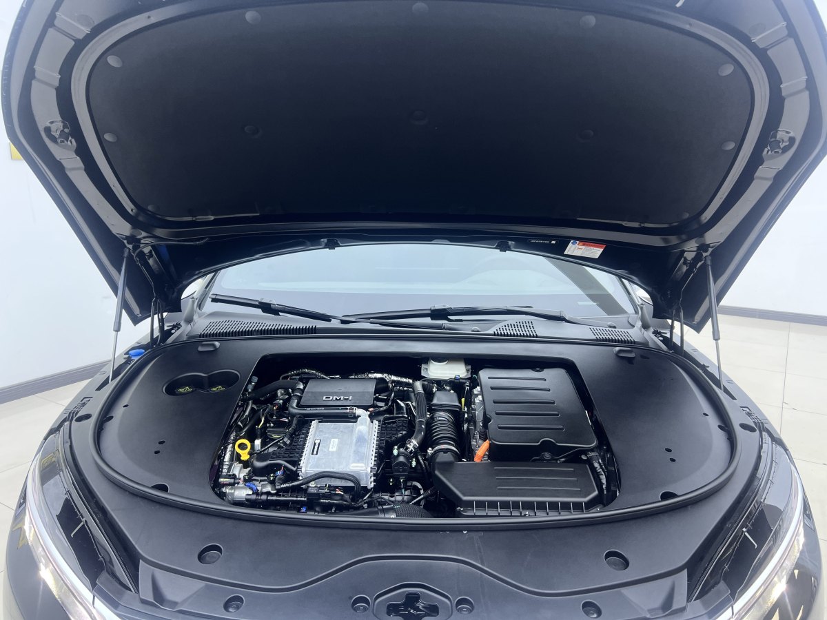 2024年11月比亞迪 漢  2025款 DM-i 125KM尊貴型