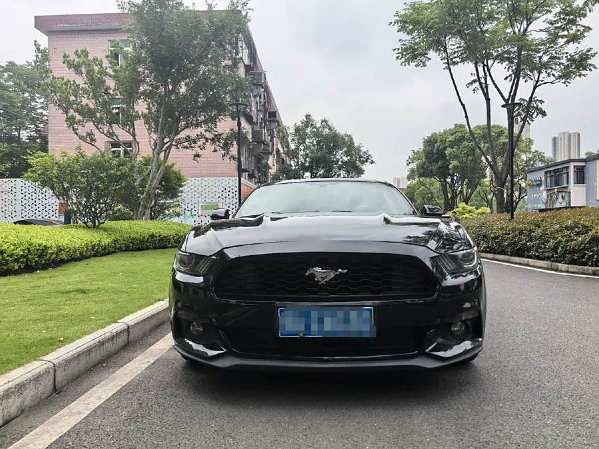 福特 Mustang  2016款 2.3T 性能版圖片