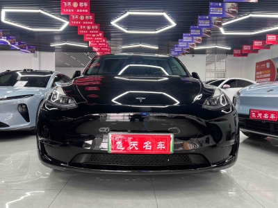 2023年1月 特斯拉 Model Y 長續(xù)航全輪驅(qū)動版圖片