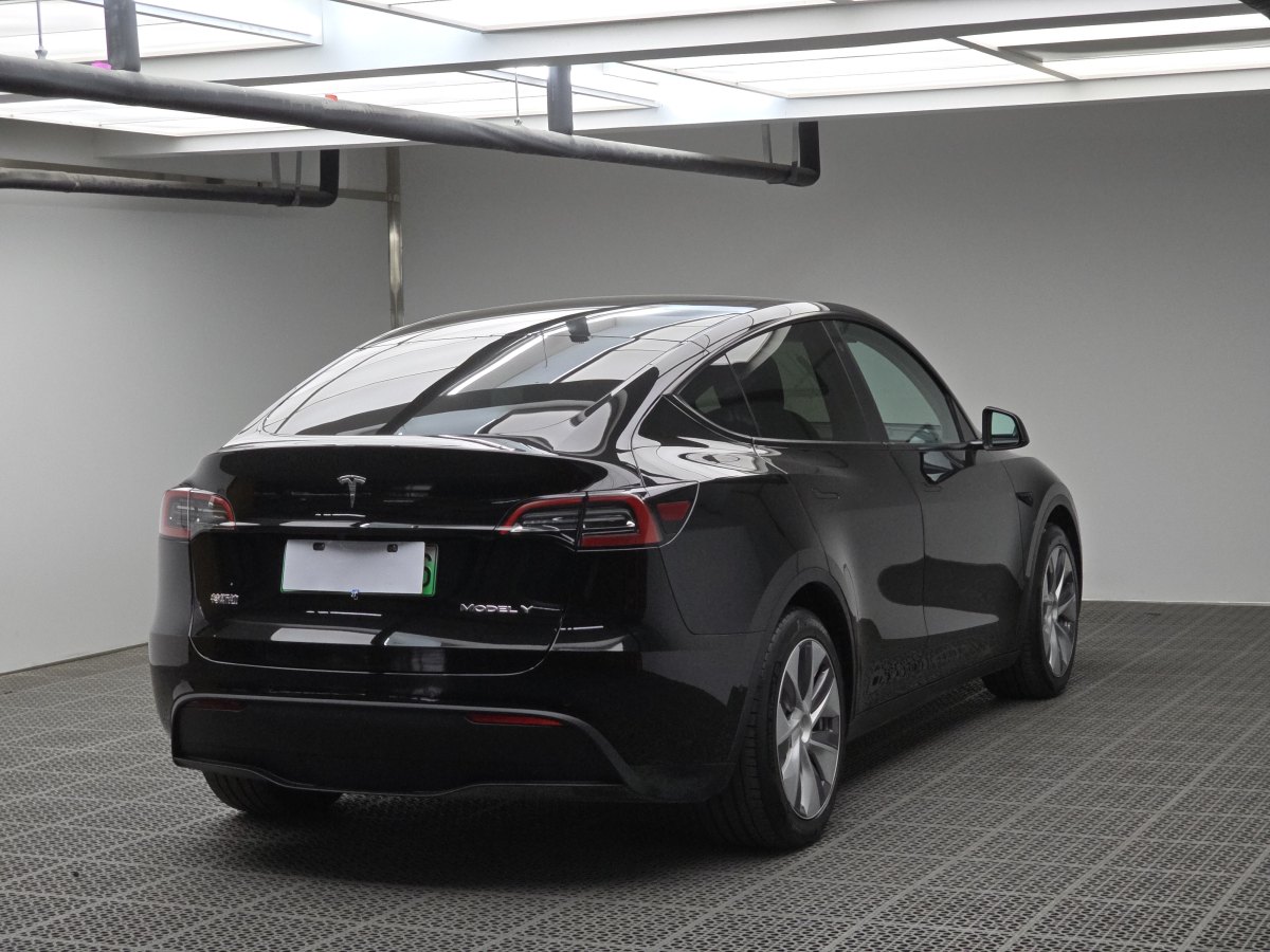 特斯拉 Model Y  2020款 改款 長續(xù)航后輪驅(qū)動版圖片