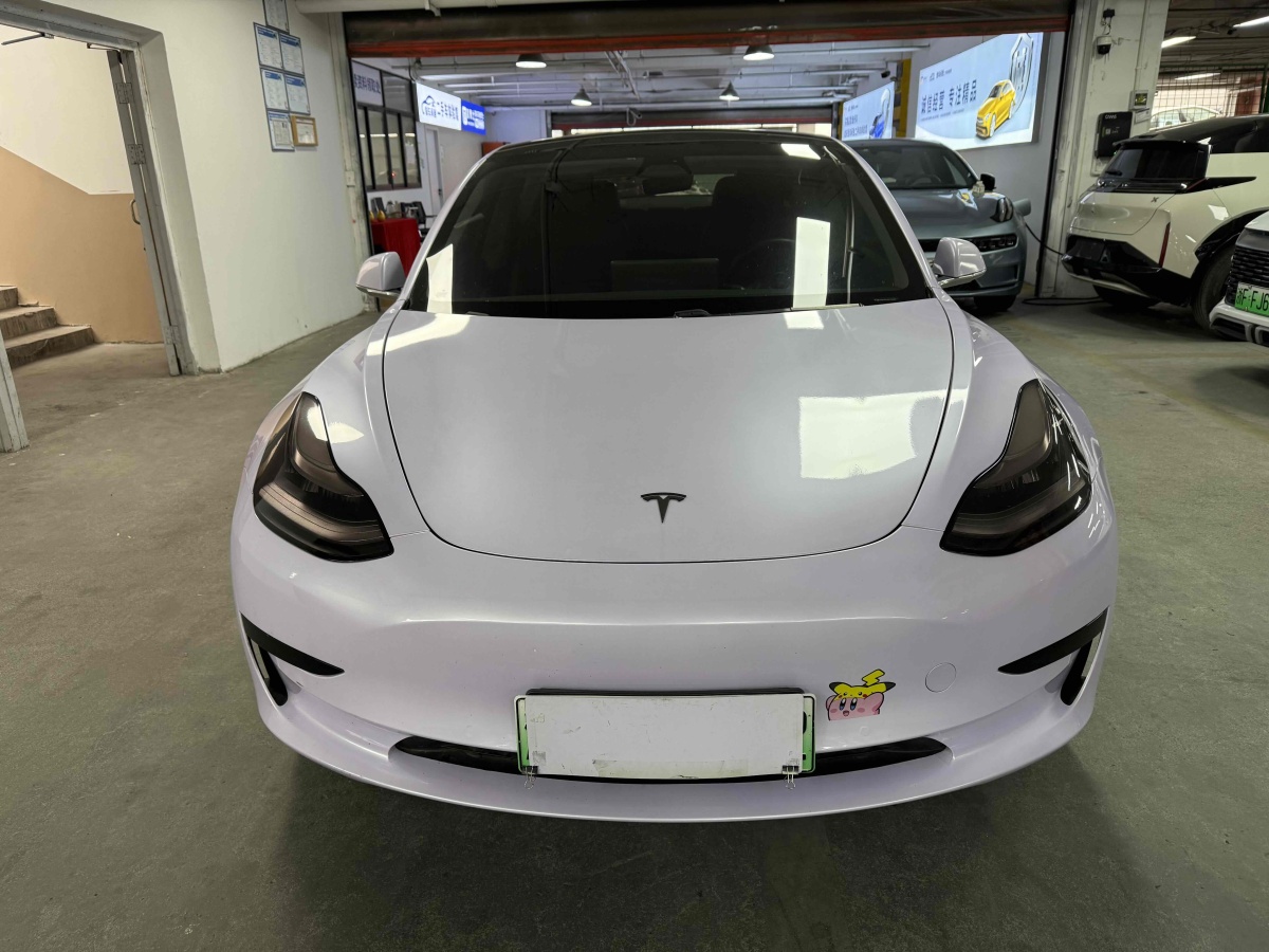 特斯拉 Model 3  2019款 標準續(xù)航后驅(qū)升級版圖片