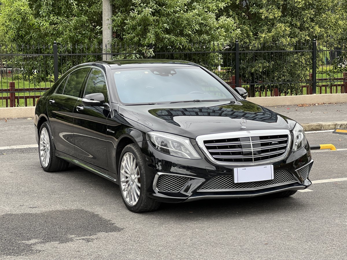 奔馳 奔馳S級(jí)AMG  2014款 AMG S 65 L圖片