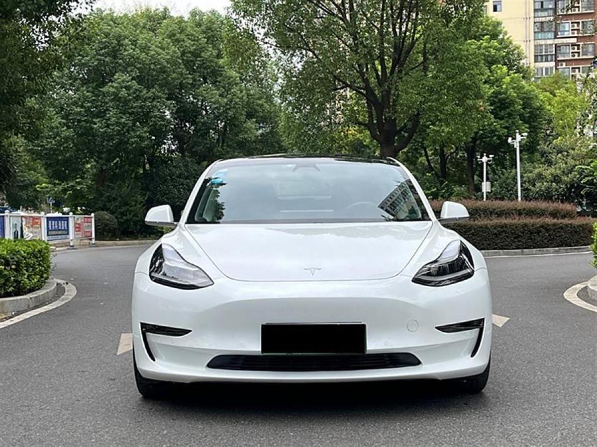 2020年8月特斯拉 Model Y  2020款 改款 標(biāo)準(zhǔn)續(xù)航后驅(qū)升級(jí)版