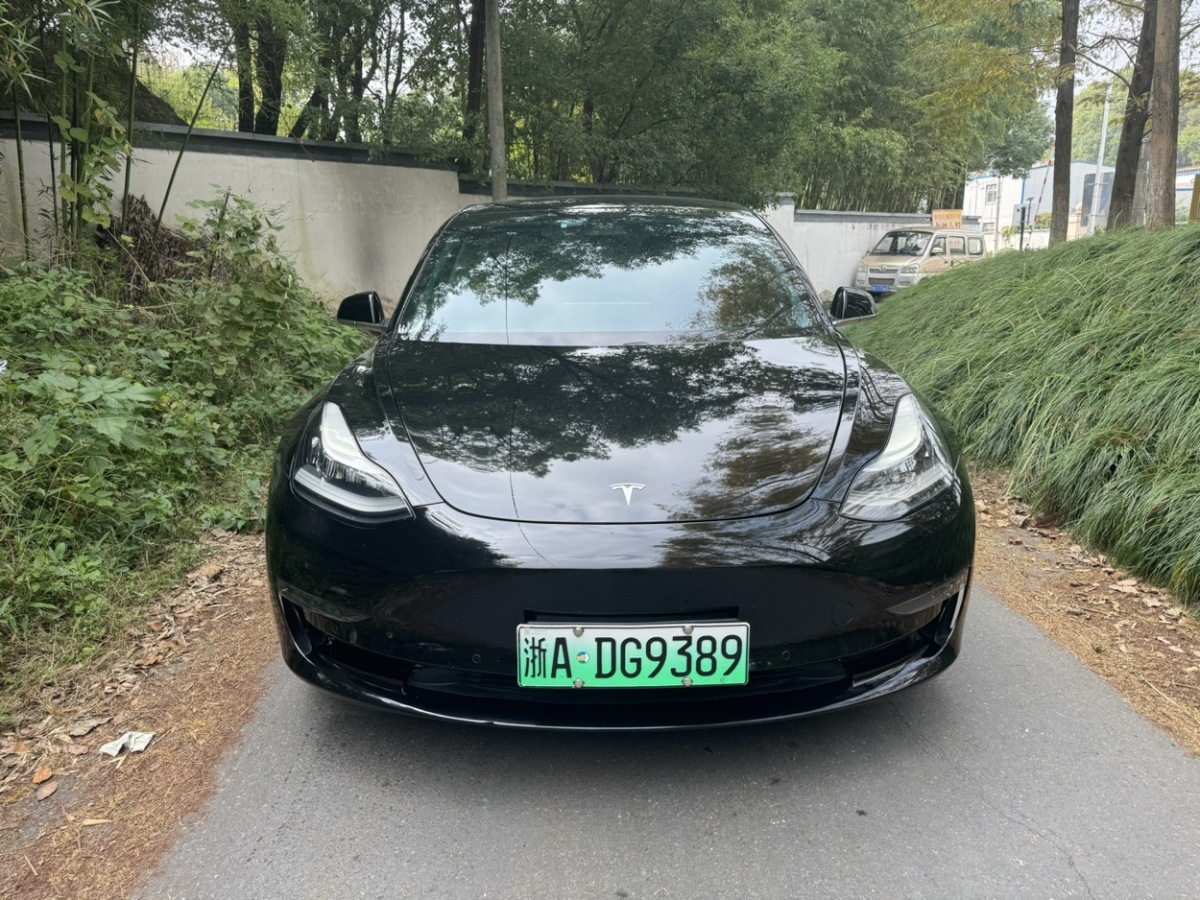 特斯拉 Model 3  2019款 長續(xù)航后驅(qū)版圖片