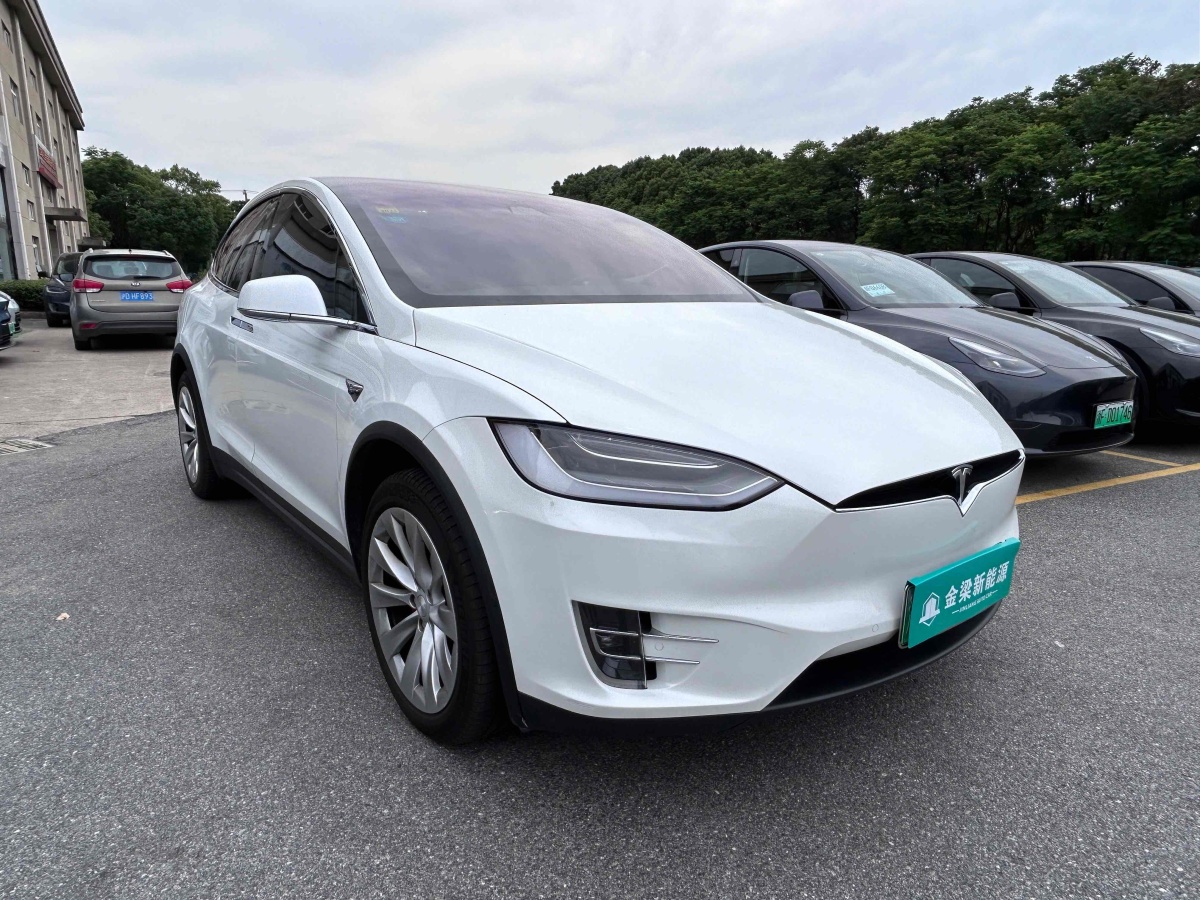 特斯拉 Model X  2019款 Performance 高性能版圖片