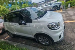 零跑T03 零跑 310舒享版