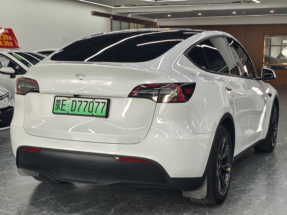 特斯拉 Model Y  2024款 長續(xù)航全輪驅動版圖片