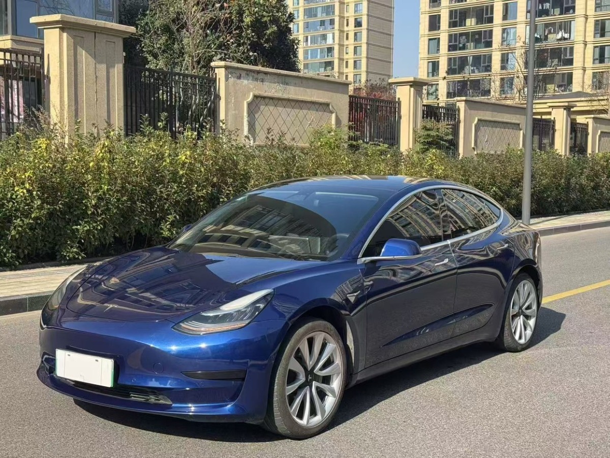 特斯拉 Model 3  2020款 標(biāo)準(zhǔn)續(xù)航后驅(qū)升級(jí)版圖片