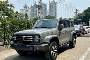 坦克300 坦克 城市版 2.0T 很有型