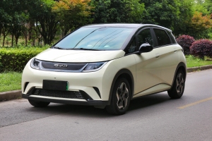 海豚 比亞迪 405km 時尚版